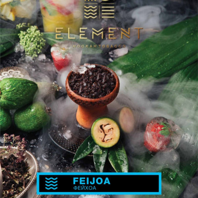 Табак для кальяна Element Вода Feijoa (Фейхоа) 40 г