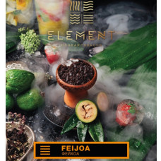 Табак для кальяна Element Земля Feijoa (Фейхоа) 40 г