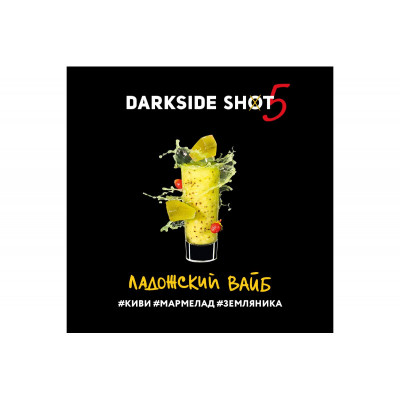 Табак для кальяна Darkside Shot Ладожский вайб (Киви Мармелад Земляника) 30 г