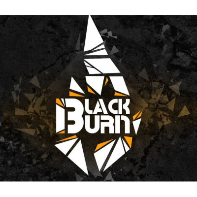 Табак для кальяна Black Burn Malibu (100г)